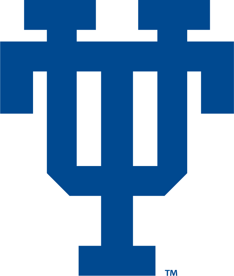 Toledo Rockets 1967-1972 Secondary Logo DIY iron on transfer (heat transfer)